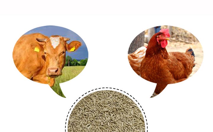 牛雞飼料顆粒 牛雞飼料顆粒