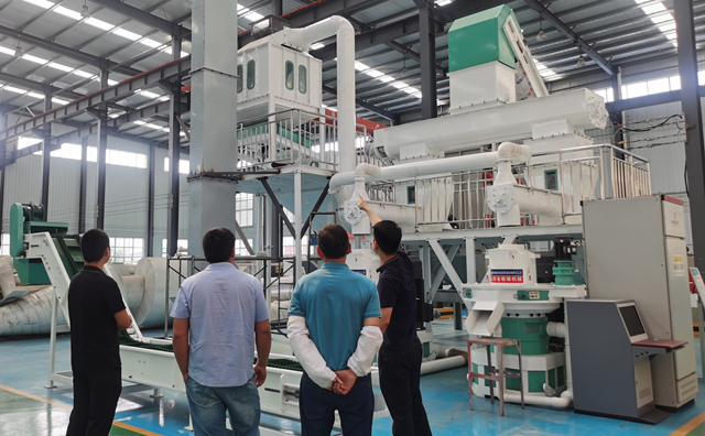 木屑制粒機生產(chǎn)線設(shè)備 木屑制粒機生產(chǎn)線設(shè)備