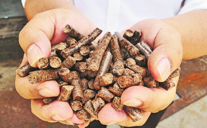 木屑顆粒機(jī)生物質(zhì)顆粒 木屑顆粒機(jī)生物質(zhì)顆粒