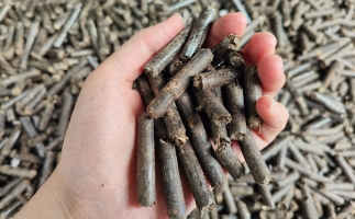 生物質(zhì)顆粒燃料公司前景怎么樣，木屑顆粒機的顆粒燃料賣給誰的？